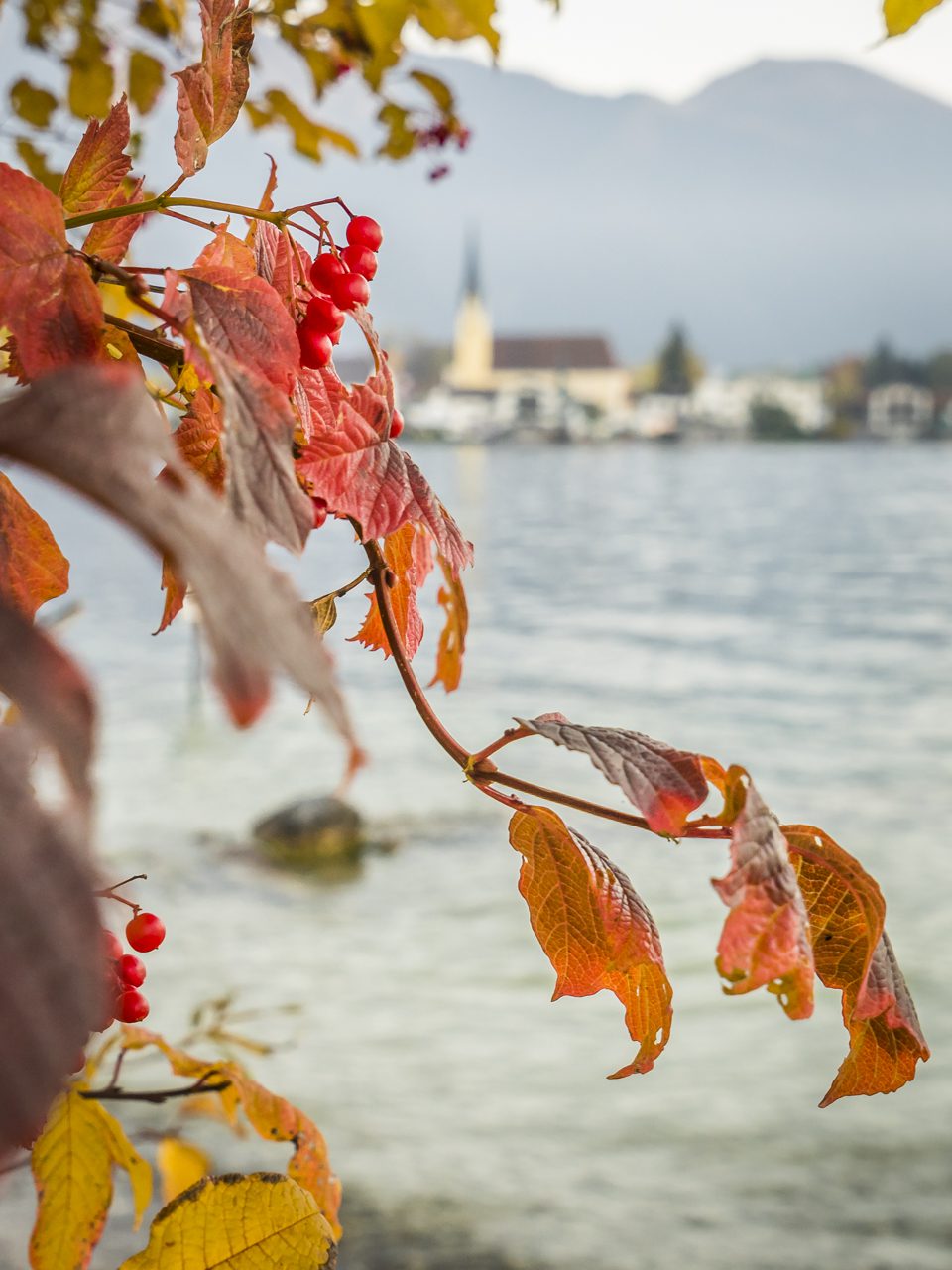 Herbst in Bayern