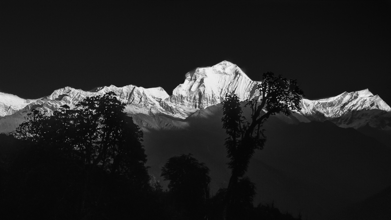 Sonnenaufgang am Dhaulagiri, vom Poon Hill im Dorf Ghorepani aus gesehen. Myagdi, West-Nepal