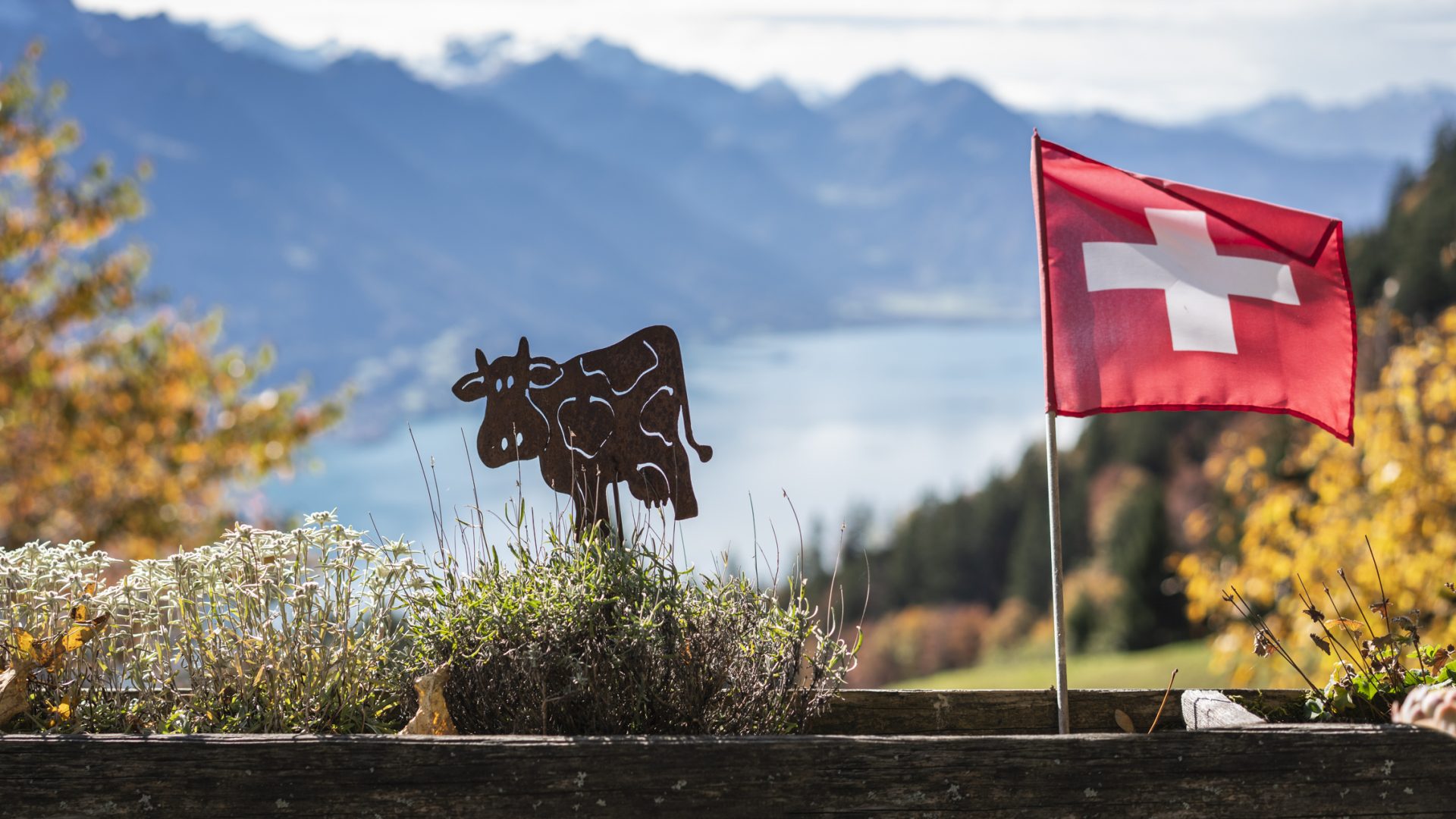 Berner Oberland für "abenteuer und reisen"